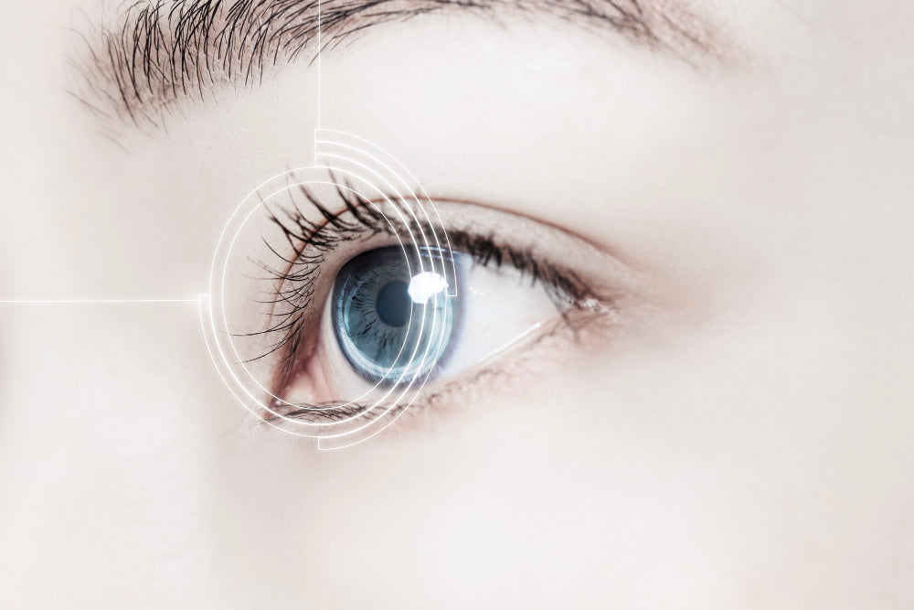 How Do Multifocal Contacts Work?